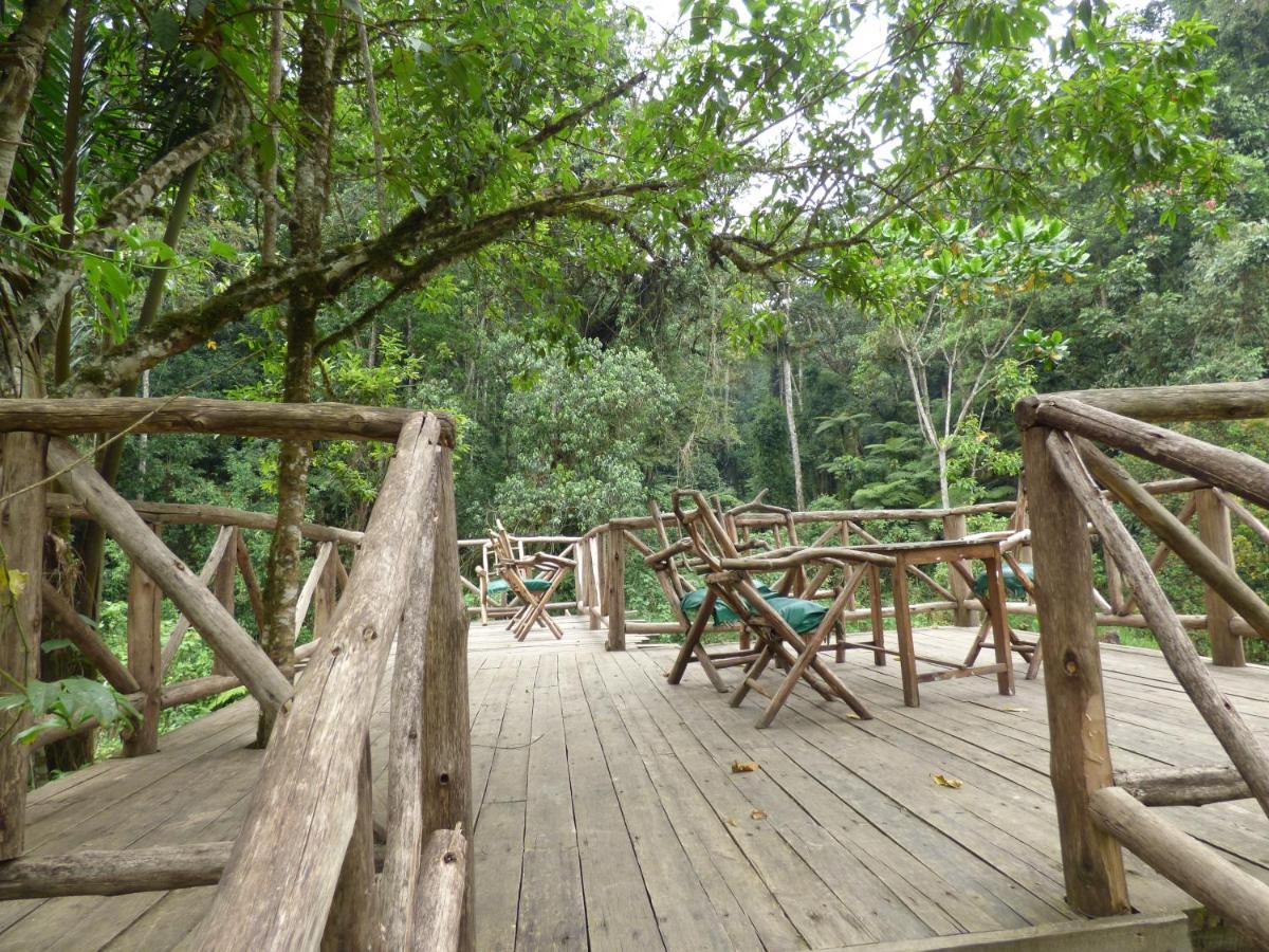Nshongi Camp Otel Rubuguli Dış mekan fotoğraf